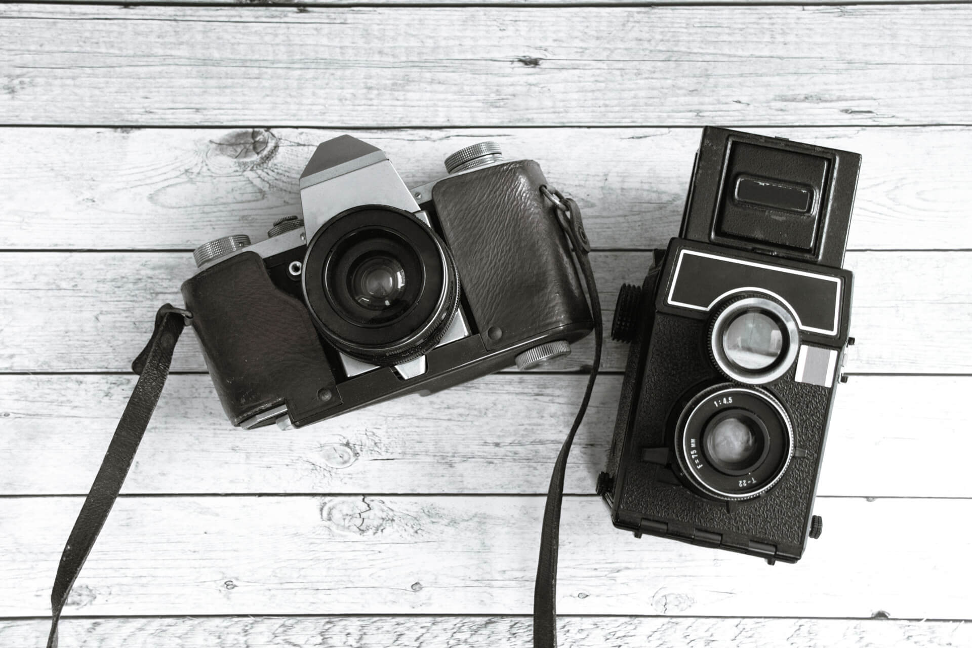 feature image types of film cameras