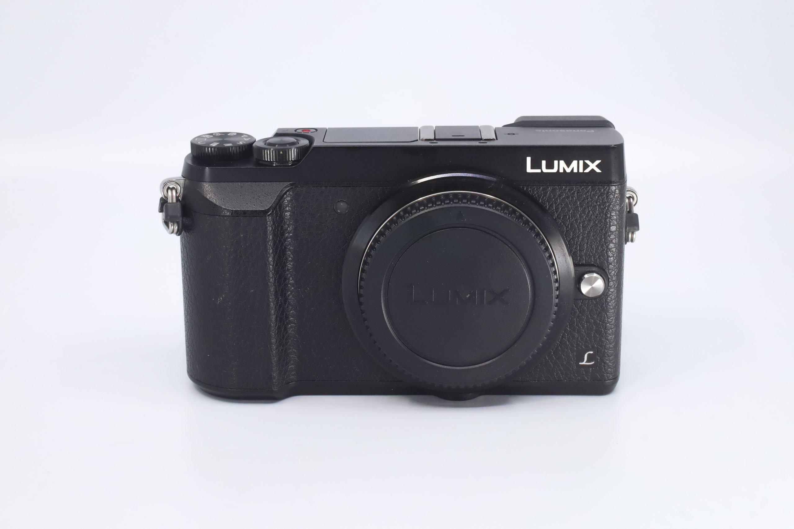 Panasonic Lumix GX85 Mirrorless Camera Vision