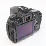 Thumbnail of IMG 0013
