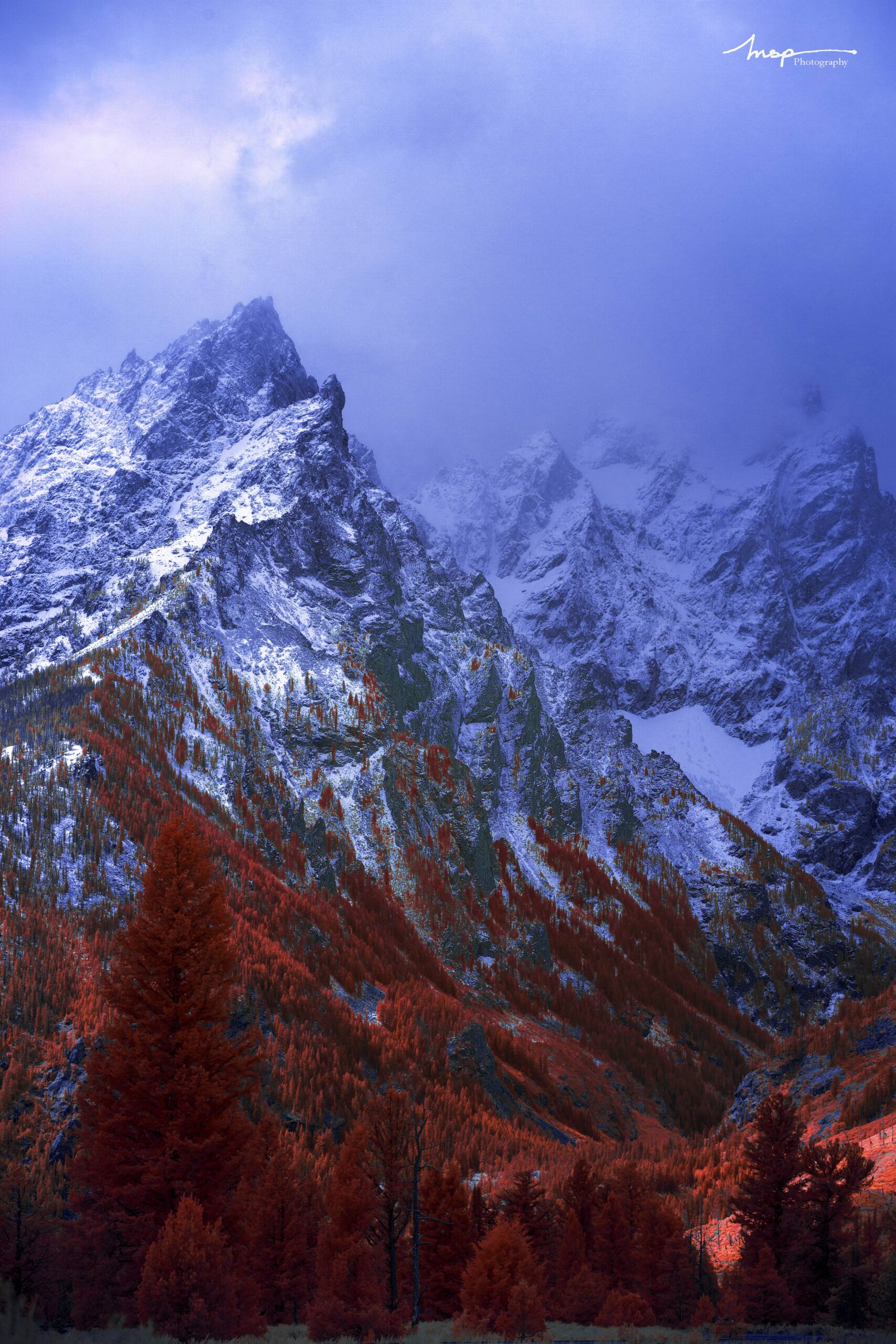 IR Stills Color 3rd Matthew Piper Tetonic 2019 min scaled