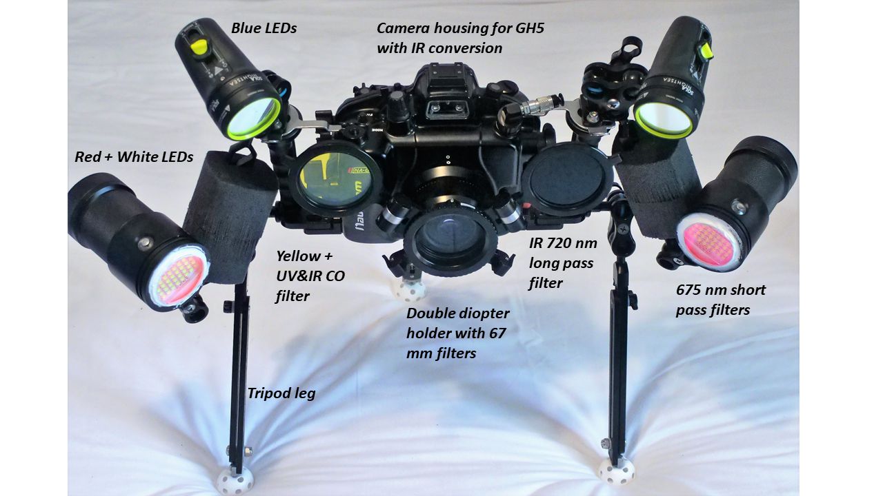 S1 Imaging System