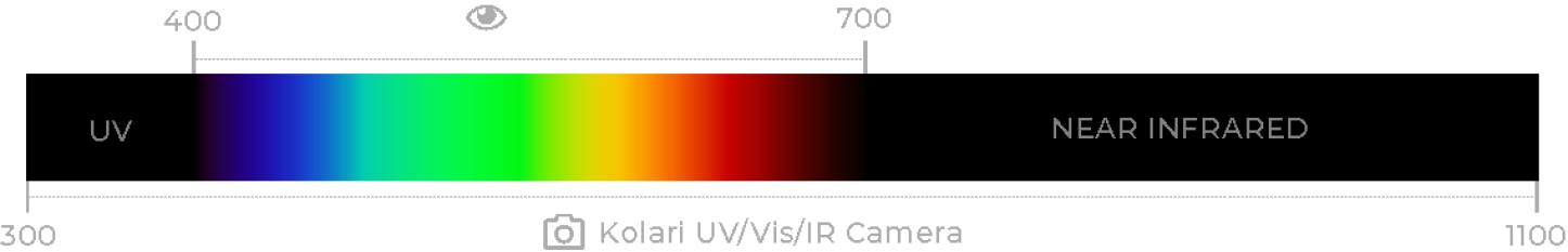 multispectrum 09262024