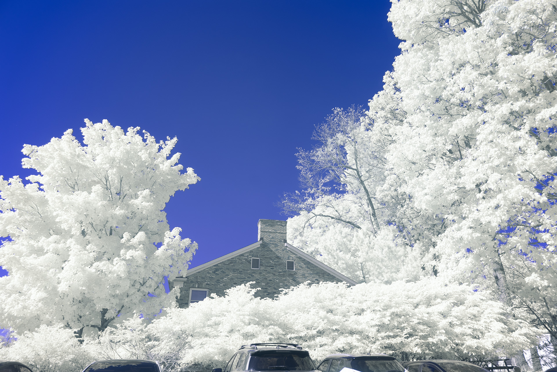 Blue IR canon r5 mark ii