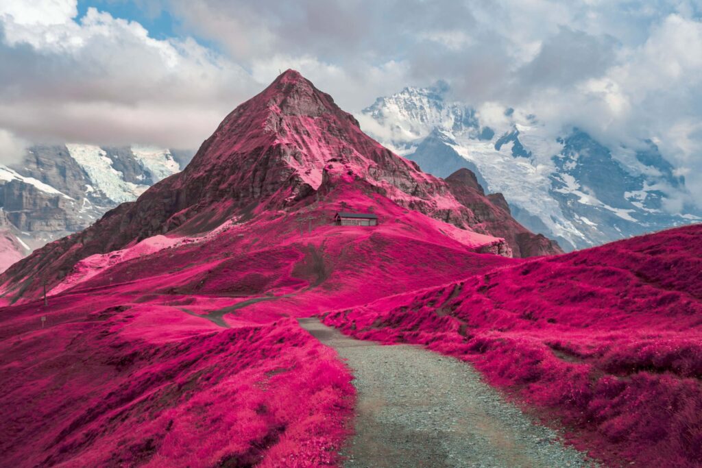 Life in Another Light | Infrared Photography Contest Winners 2024