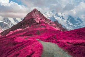 Life in Another Light | Infrared Photography Contest Winners 2024
