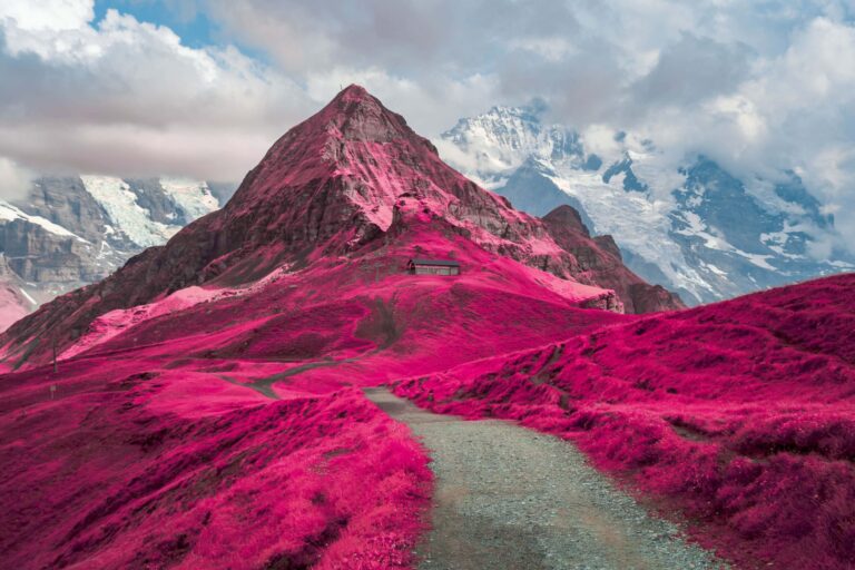 Life in Another Light | Infrared Photography Contest Winners 2024