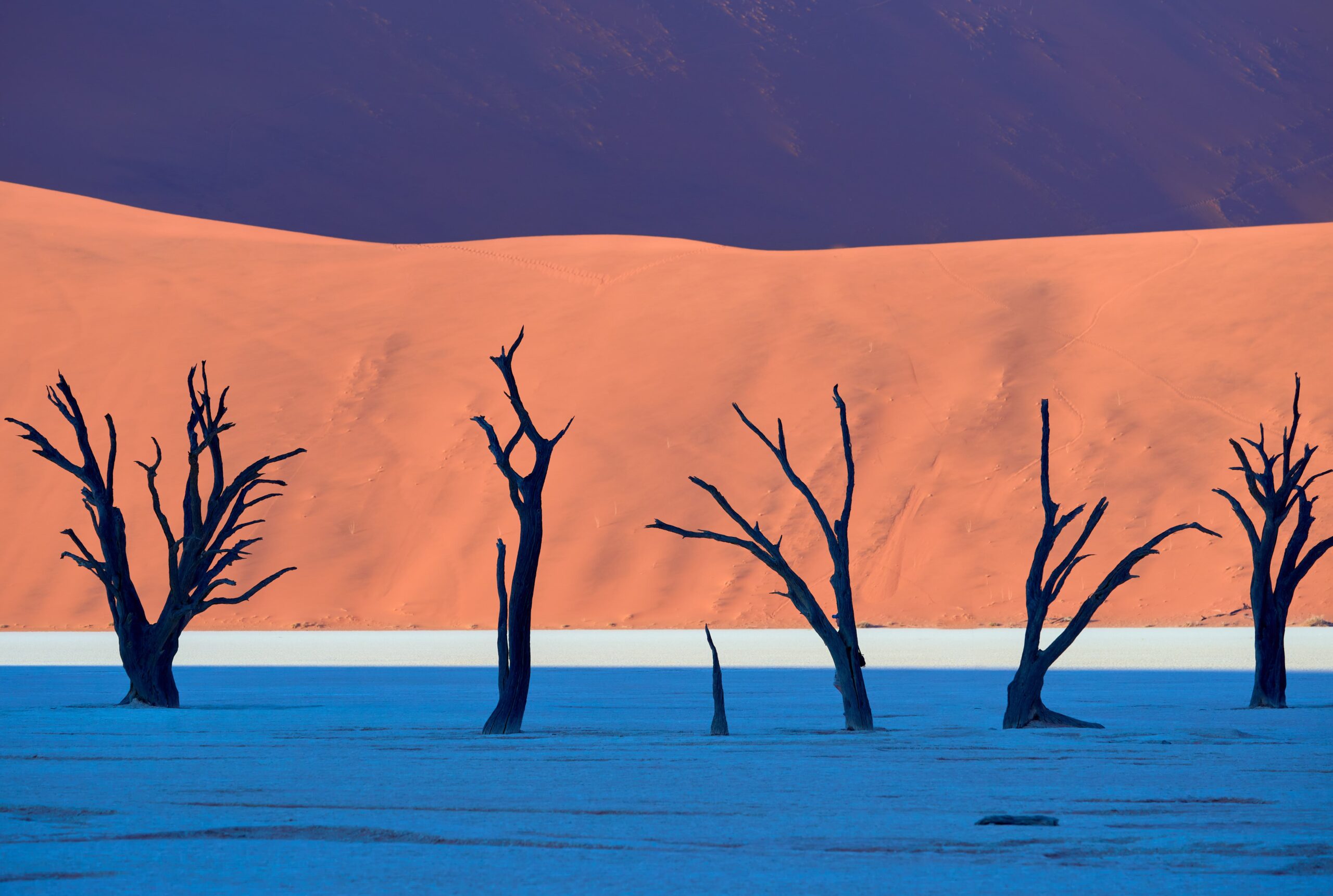 Honorable Mention 22Namibia22 Sergiy Antonenko min scaled