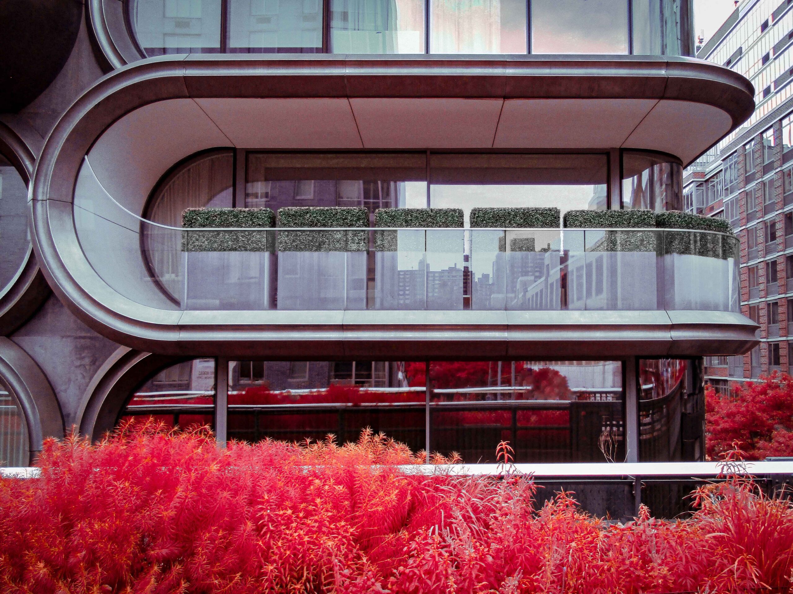 Honorable Mention 22New York in Red High Line22 Francis R. Pellegrino min scaled