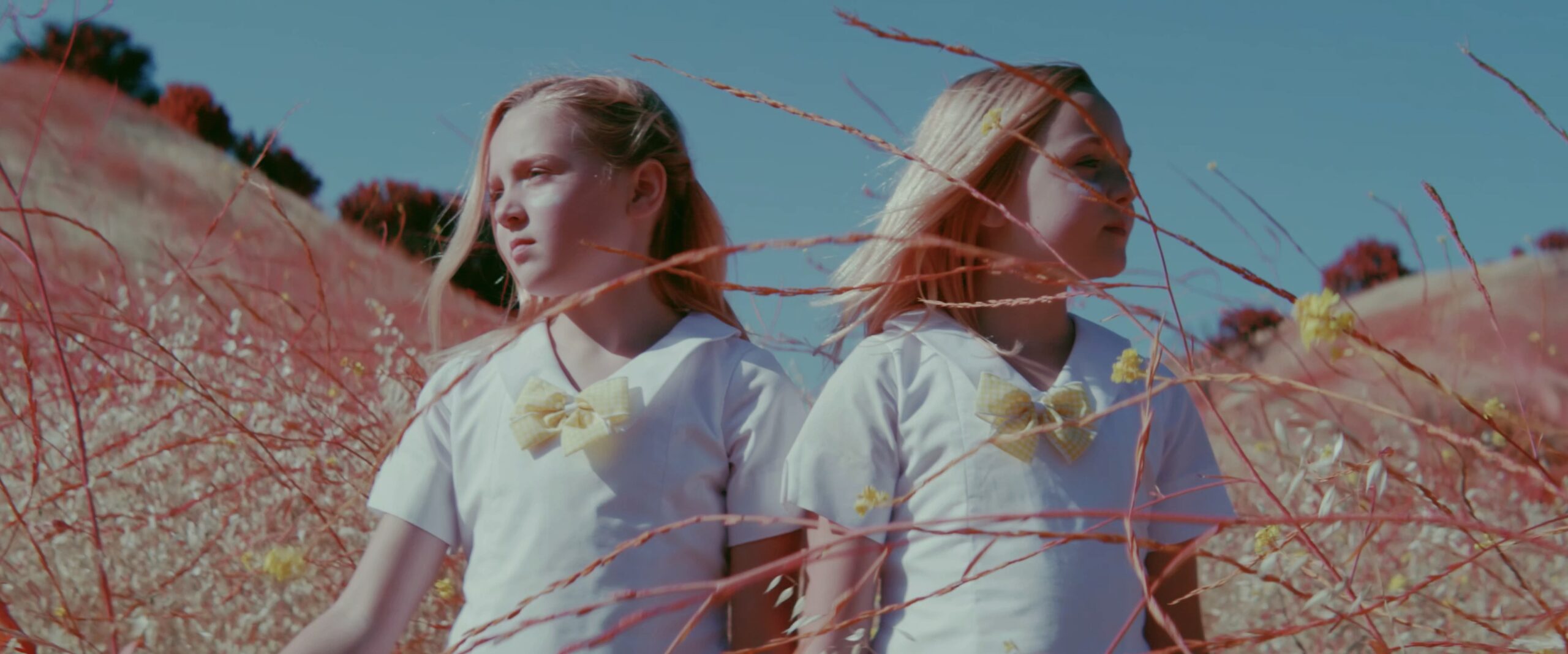 “When Earth Took a Breath” by Ora the Molecule, shot by Lambert Grand​ — IR Chrome Music Video