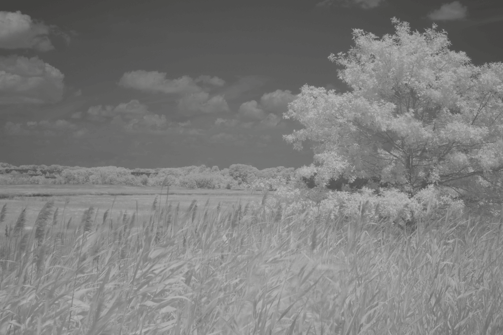 After image 1000nm_after_filter_effect_example_Full_Size-min 1000nm Infrared Filter