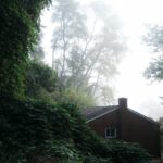 Thumbnail of Mist diffusion filter example with moderate strength, adding a gentle soft focus and blooming effect to the scene