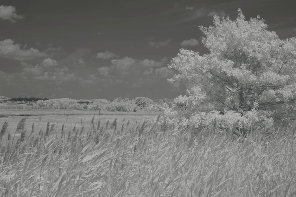 After image 780nm_after_filter_effect_example_Full_Size-min 780nm Infrared Filter
