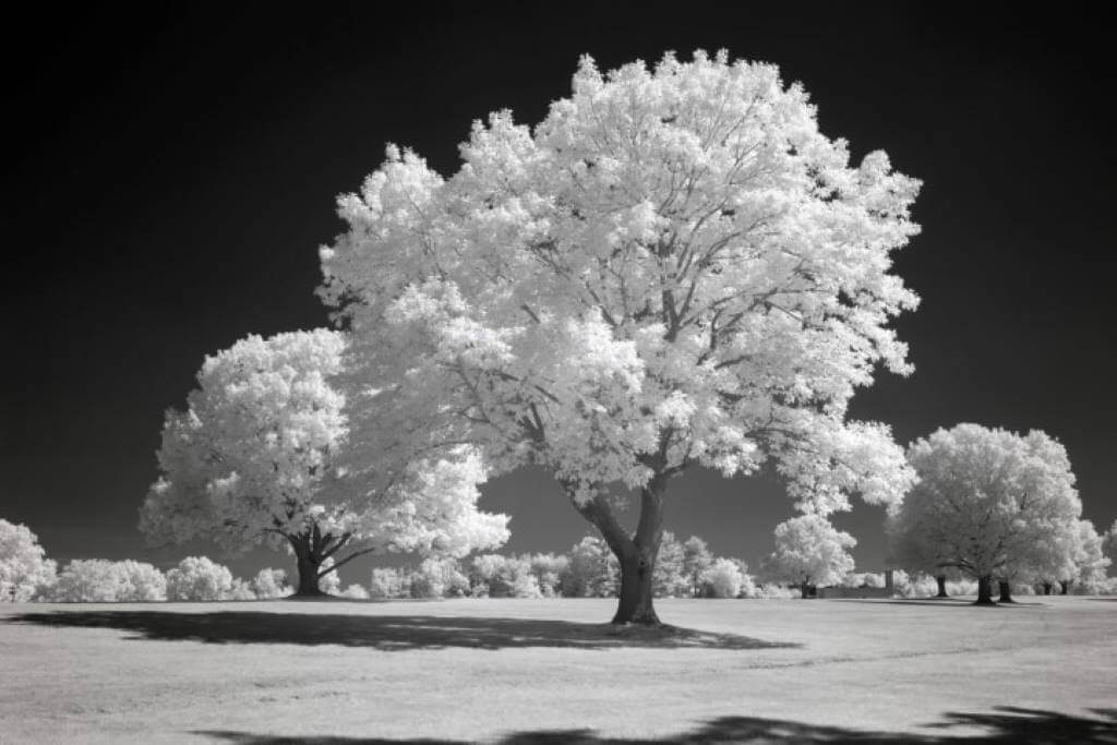 After image 850CWB-H-Medium-Small 850nm Infrared Filter