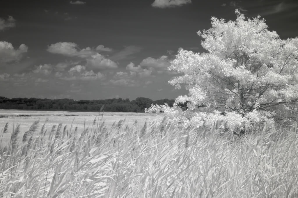 After image 930nm_after_filter_effect_example 930nm Infrared Filter