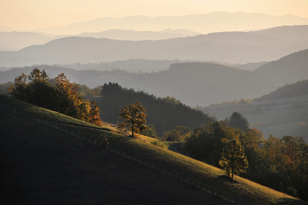 Early Morning by Zoran Milutinovic