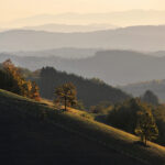 Thumbnail of Early Morning by Zoran Milutinovic