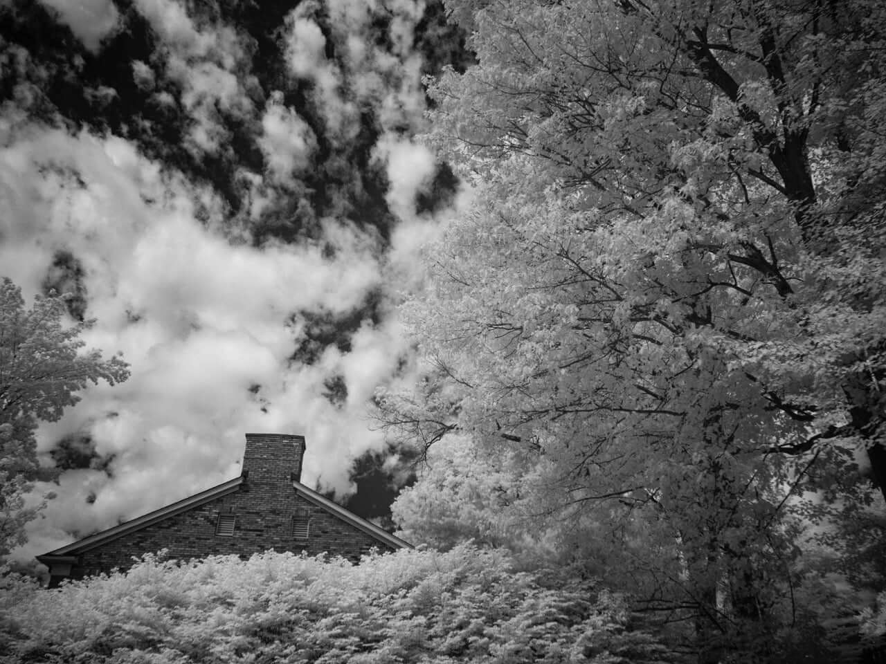 Kolari Vision Infrared Filter 1000nm - Olympus_OMD_EM1II_1000nm-Example_Large