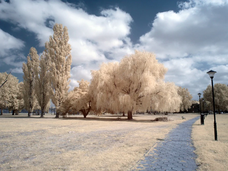Kolari Vision Infrared Filter 665nm - Image Example