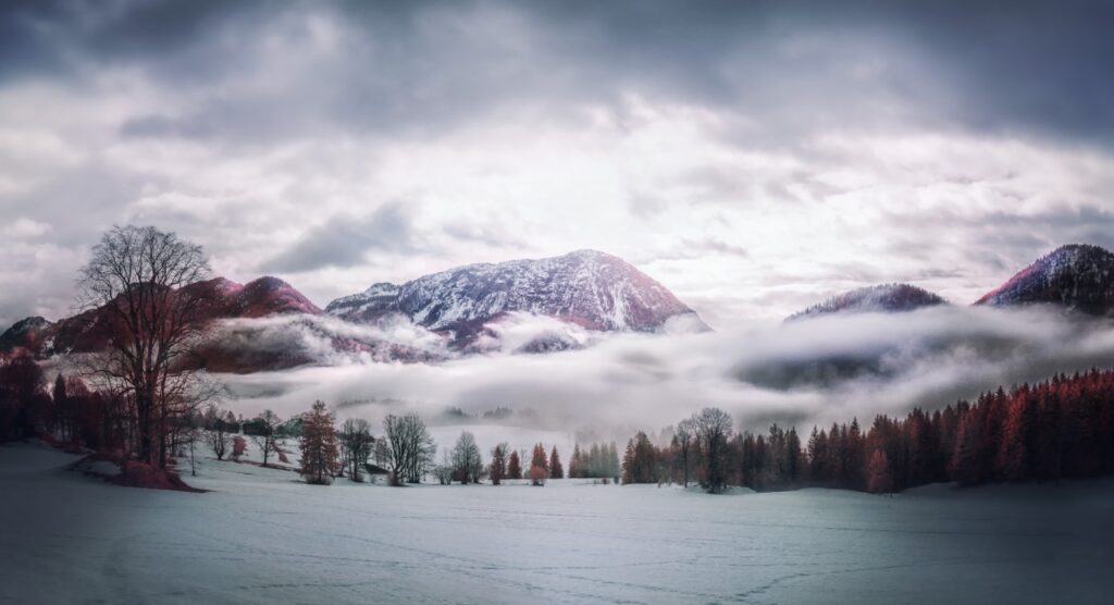 Image name: Morning Fog, Author name: David Hochleitner