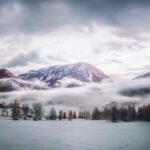 Thumbnail of Image name: Morning Fog, Author name: David Hochleitner