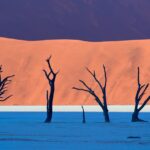 Thumbnail of Image name: Namibia, Author name: Sergiy Antonenko