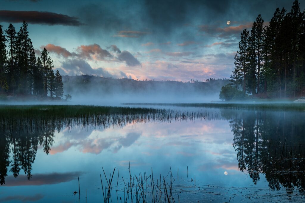 Image name: Reflective Dawn, Author name: Mike Lee