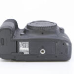 Thumbnail of IMG 0017