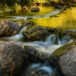 Thumbnail of Image name: Golden Waters , Author name: Lynn Wiezycki