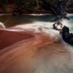 Thumbnail of ND – Red Sands Beach David Swainson