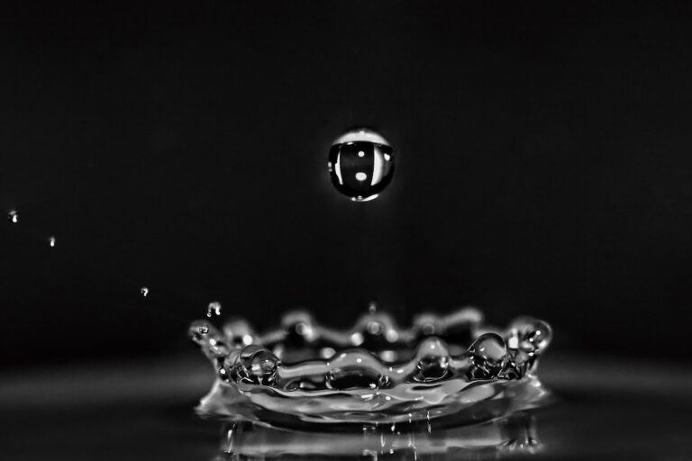 splash of munkfruit 48badc49 6935 4c23 b0e1 a5e6946e9474