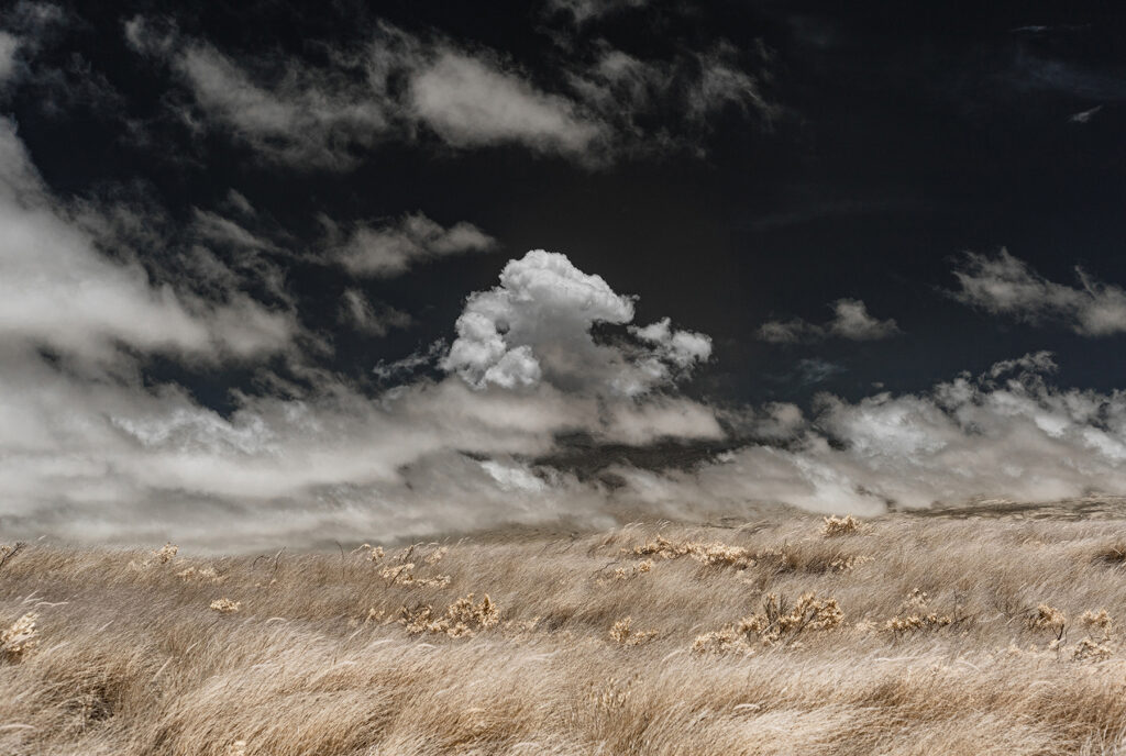 upcountry hawaii 4f0af5b2 d293 451b b9e1 03635c69ed08