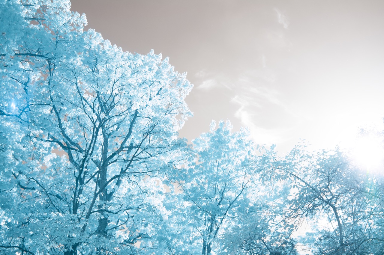 Kolari | Nikon D40 665nm Infrared Ready Camera Kit with 18-55mm