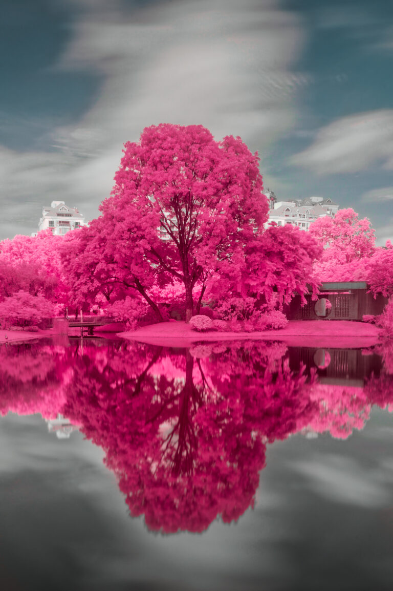 reflection 0cbc19d6 e5f7 4737 b2ea 8a9ba86065fe