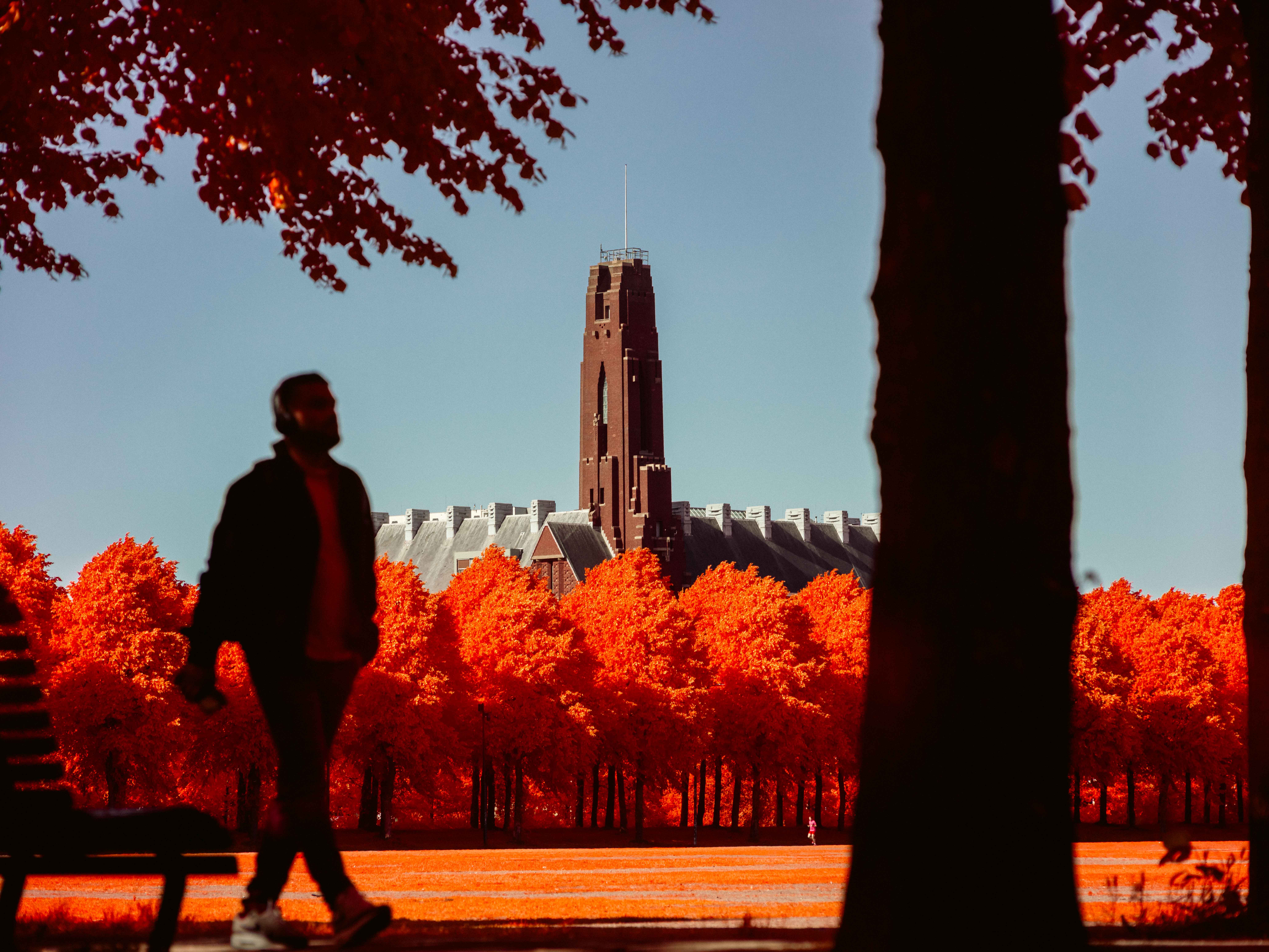 the red elephant building the hague netherlands 64c59563 e5eb 4776 9ac1 0eda16c0fa40