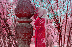 halloween-2025-article-03