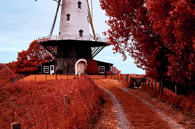 kolari windmill in veere irchrome nikon dslr mirrorless