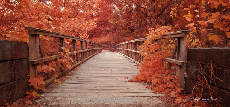 pinion creek bridge d0d5ecc7 72e6 4444 9366 11a19620ef8c