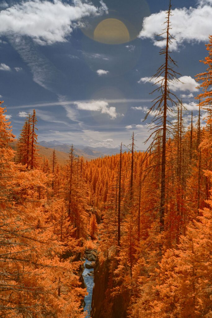 road to paradise 6bf7fa2c bf3e 427f 94ea 8af9f929e734