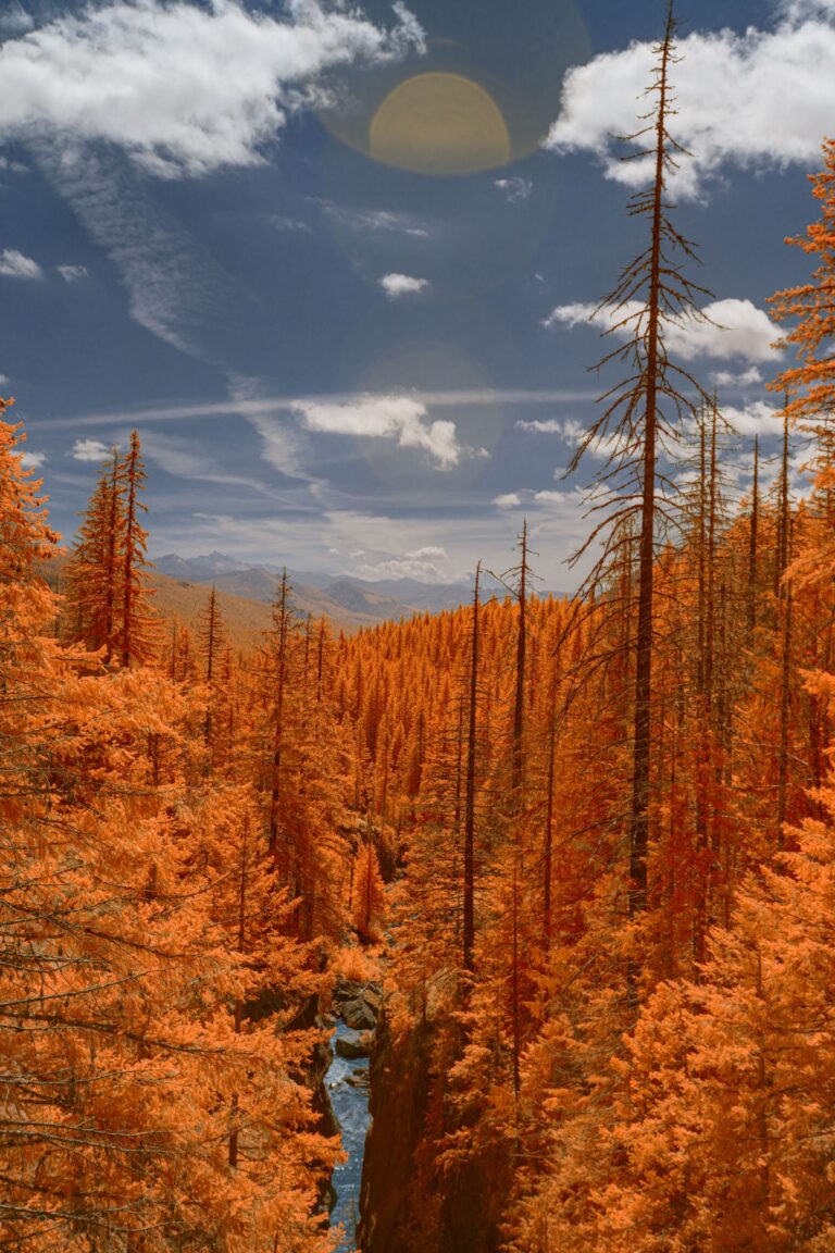 road to paradise 6bf7fa2c bf3e 427f 94ea 8af9f929e734