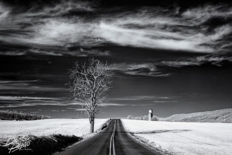 the long view f6b71a3a 0e15 4378 a64c efc788e8daf1