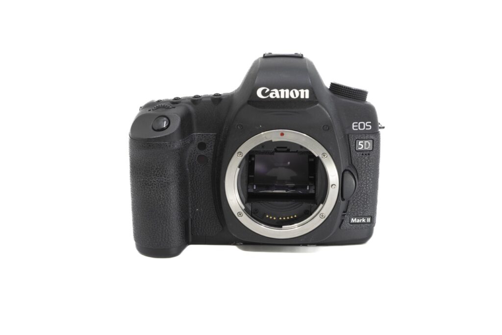 untitled (21 of 54) Large