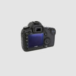 Thumbnail of untitled (24 of 54) Large