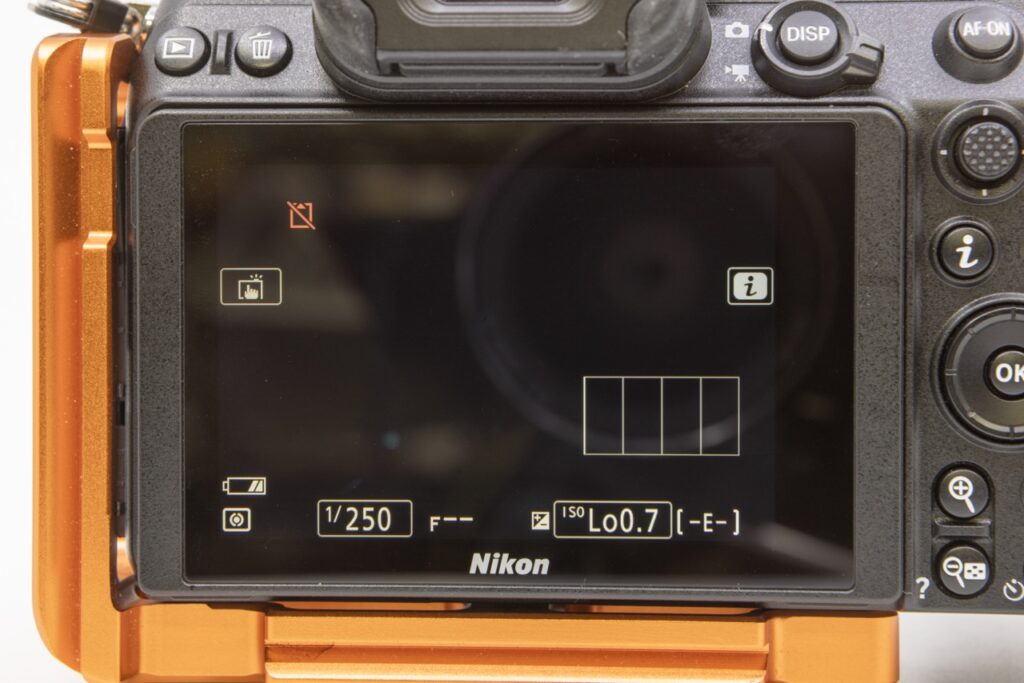 untitled (50 of 50) Large