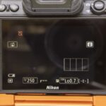 Thumbnail of untitled (50 of 50) Large