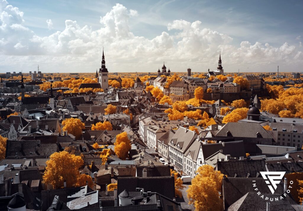 tallinn old town d6c6041c ebd3 4ff6 9f53 cde954965477