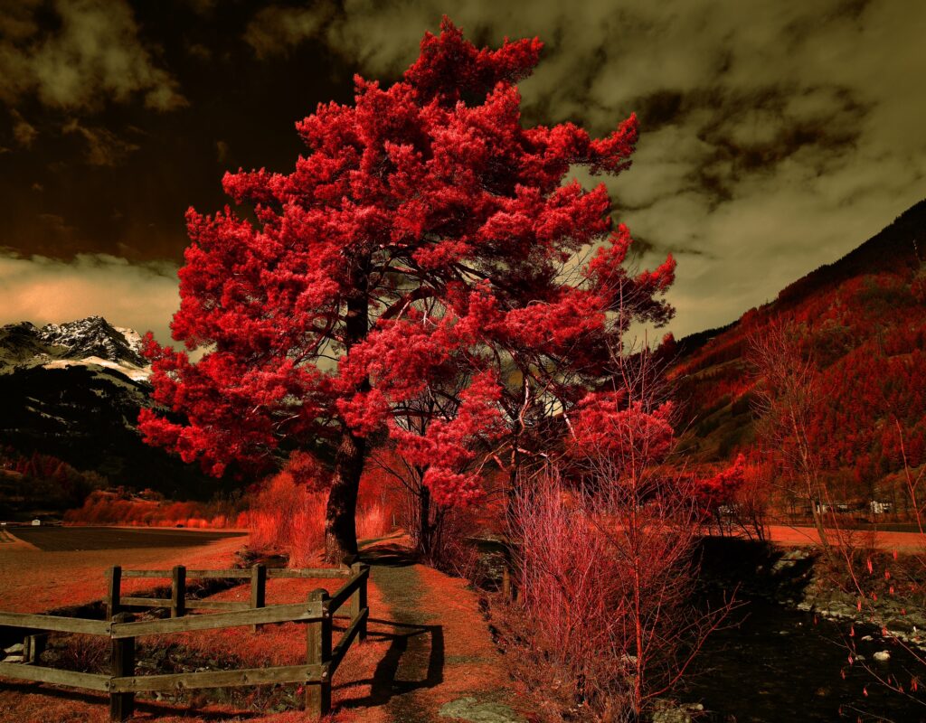 at the poschiavino d0f75c8c 80dc 4ad6 9945 05f72695a763