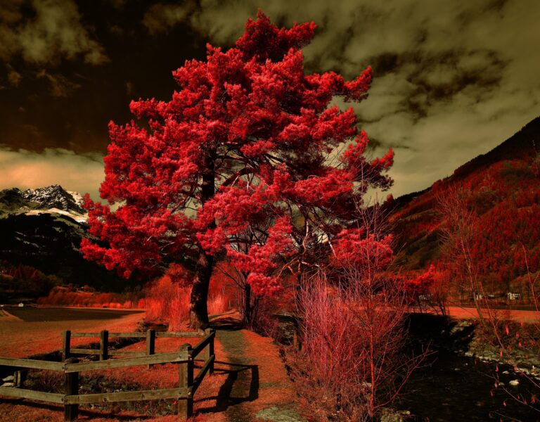 at the poschiavino d0f75c8c 80dc 4ad6 9945 05f72695a763