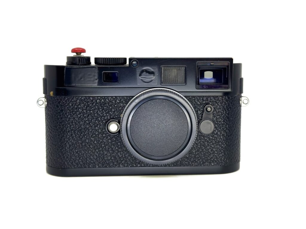 Flavio (1 of 2) Large