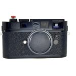 Thumbnail of Flavio (1 of 2) Large