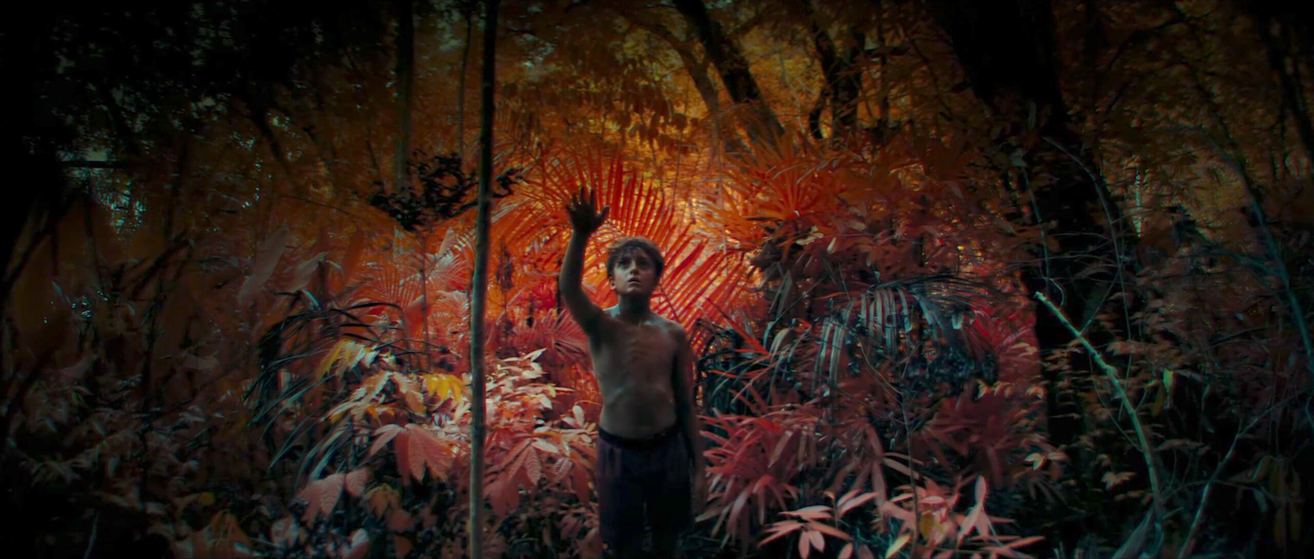 How Netflix’s Lord of the Flies Used Infrared to Shoot Day For Night